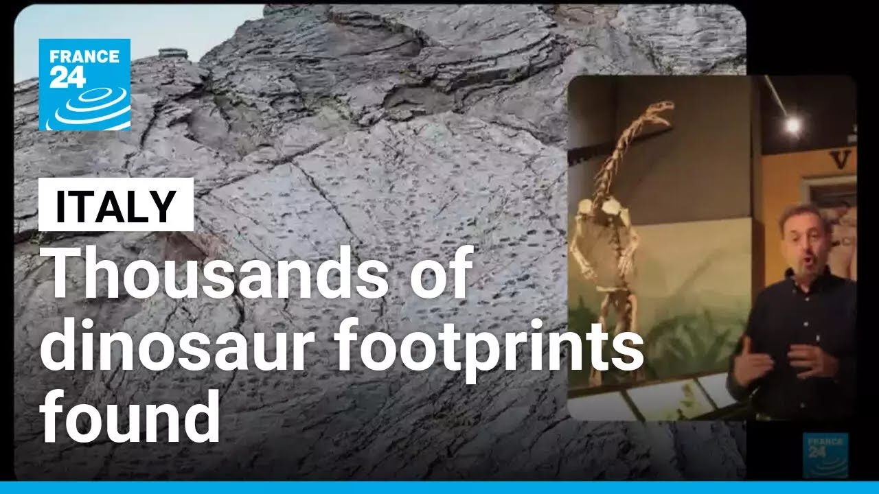 Italy: Thousands of dinosaur footprints discovered near Winter Olympics site &bull; FRANCE 24 English