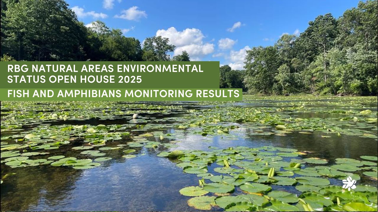 7: Fish and Amphibians Monitoring Results