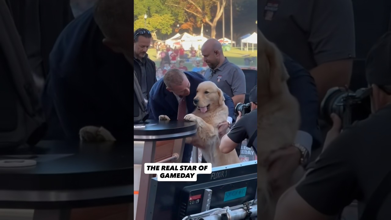Peter Herbstreit roaming College GameDay set in style #alabama #vanderbilt #espn #sports #animals