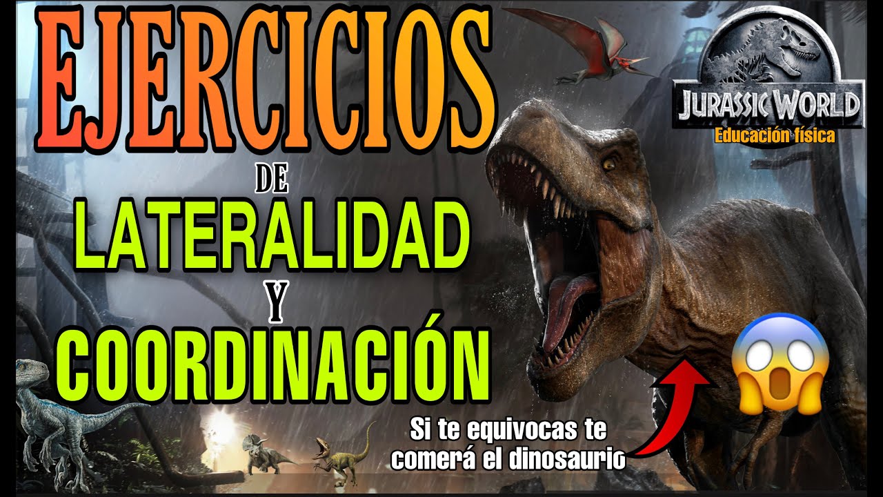 EJERCICIOS DE LATERALIDAD, COORDINACI&Oacute;N y REACCI&Oacute;N DIVERTIDOS PARA EDUCACI&Oacute;N F&Iacute;SICA