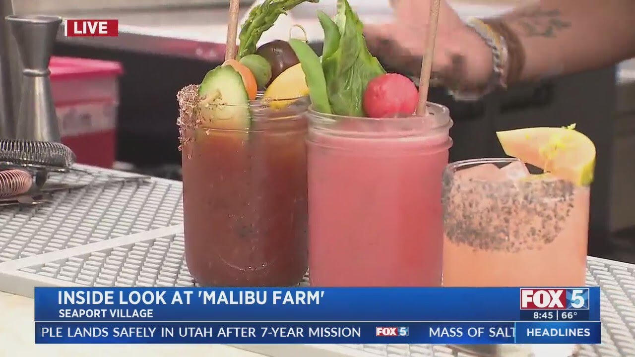 Malibu Farm At Seaport Village