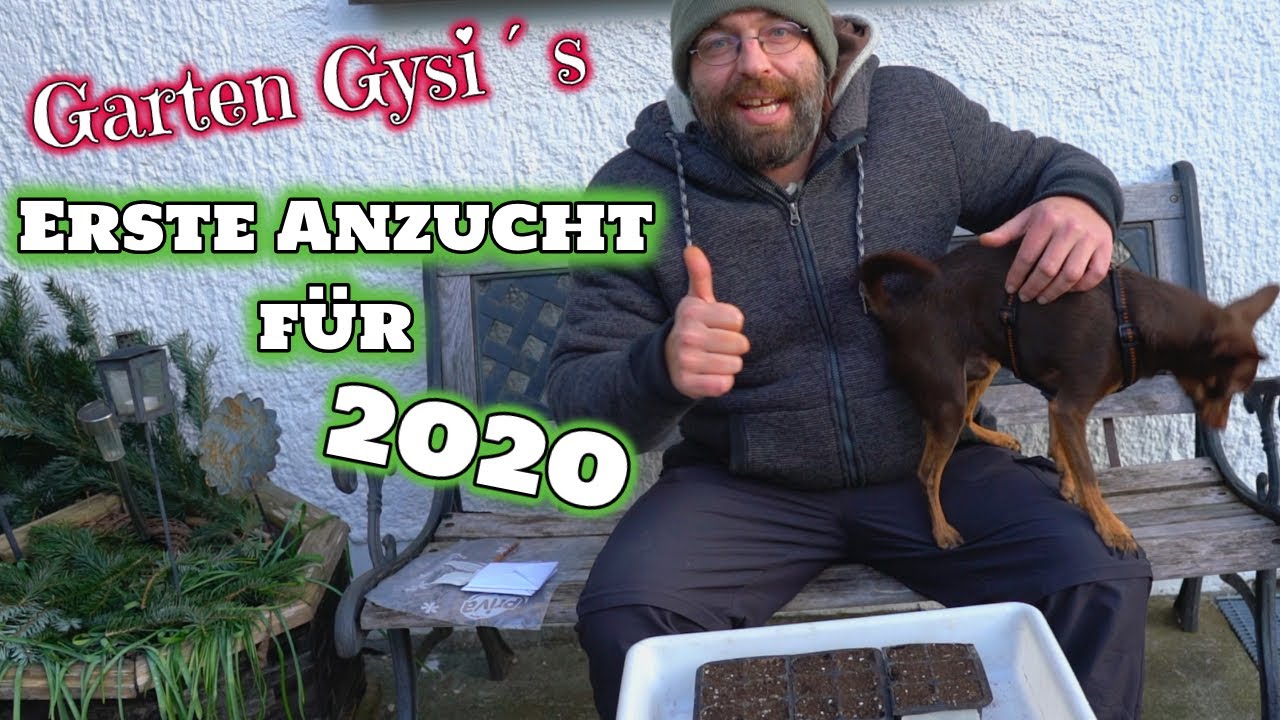 Die Ersten Anzuchten und an Guad´n Rutsch ins neue Jahr