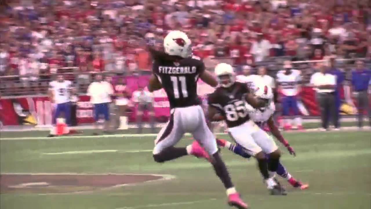 Larry Fitzgerald Highlights HD