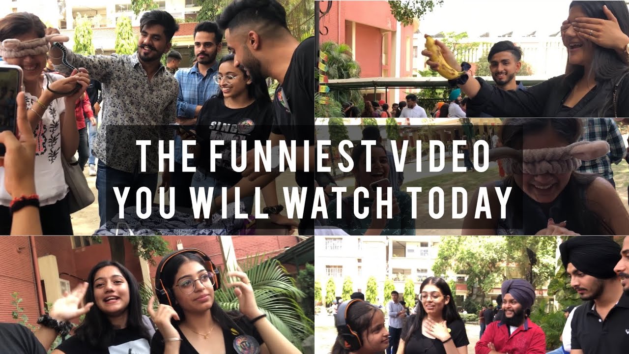 Fun fun and fun - psychology fair - Apeejay college of fine arts Jalandhar -   Harry Singh