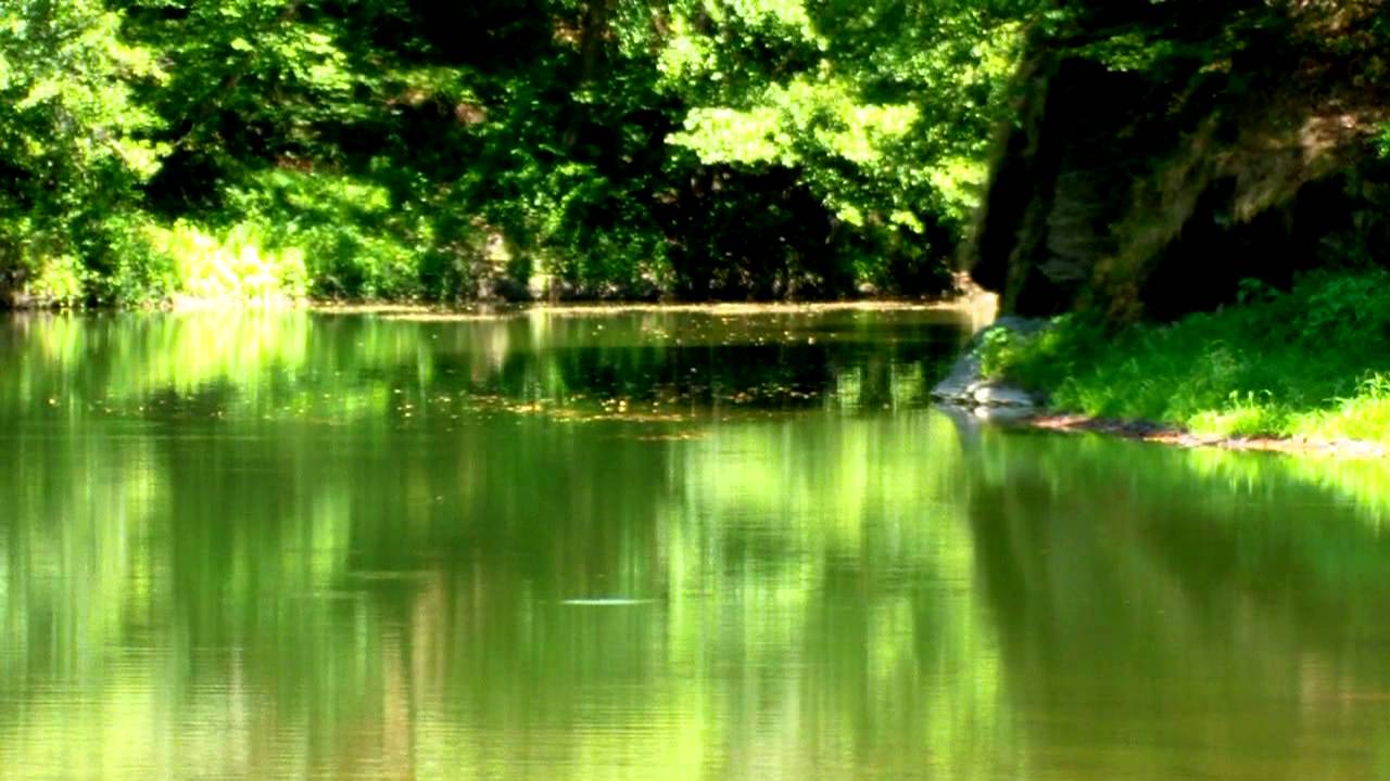 Defileul Lăpuşului - Pescuit