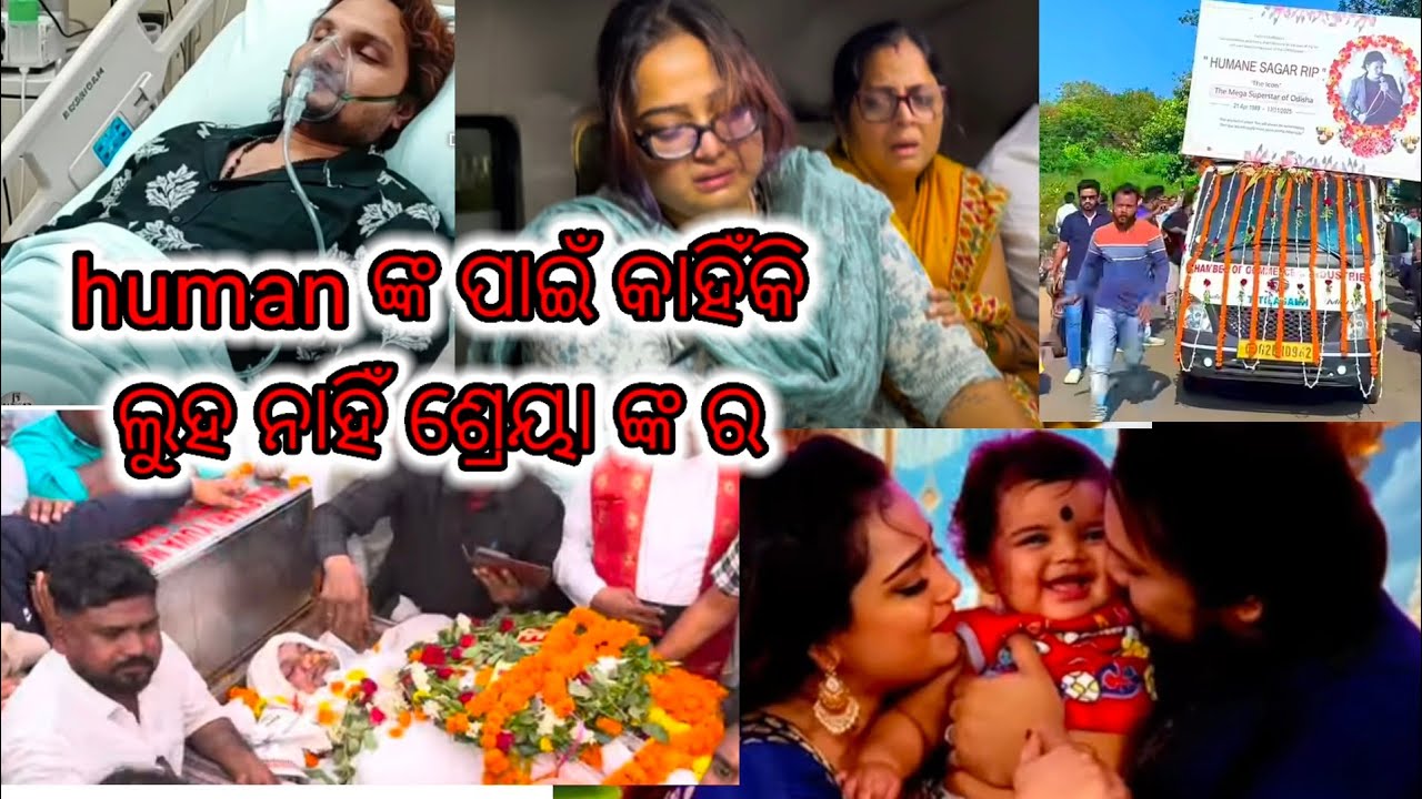 Human ଙ୍କ ପାଇଁ କାହିଁକି ଲୁହ ନାହିଁ ଶ୍ରେୟା ଙ୍କ ର😂😱 lloriya llvlogs MANTAN bhai 