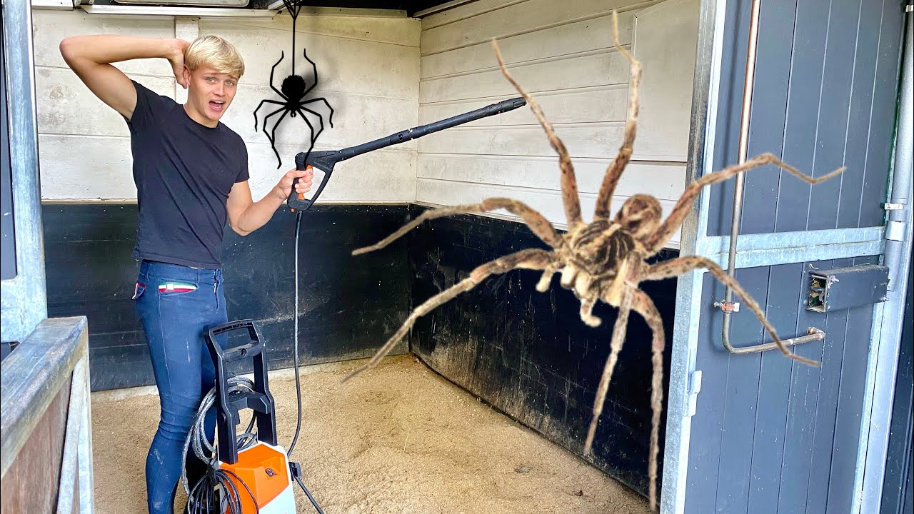 MY FEAR FOR CLEANING THE STABLES... 😱
