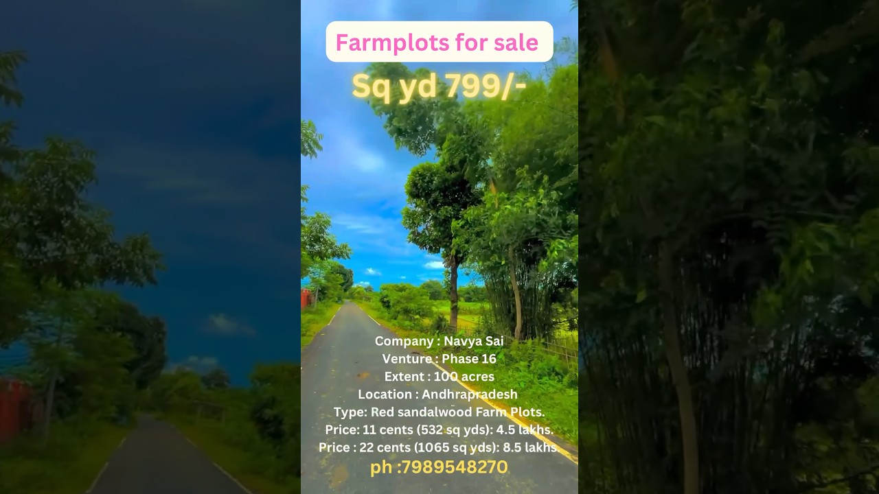 Red sandal wood farmlands for sale AP #farming #magicbricks #agriculture #ytshorts