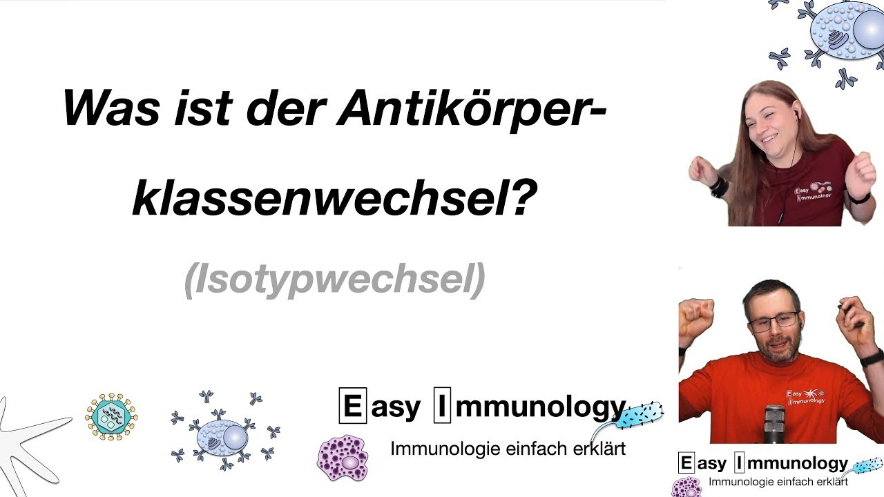 Easy Immunology: Antik&ouml;rper Klassenwechsel