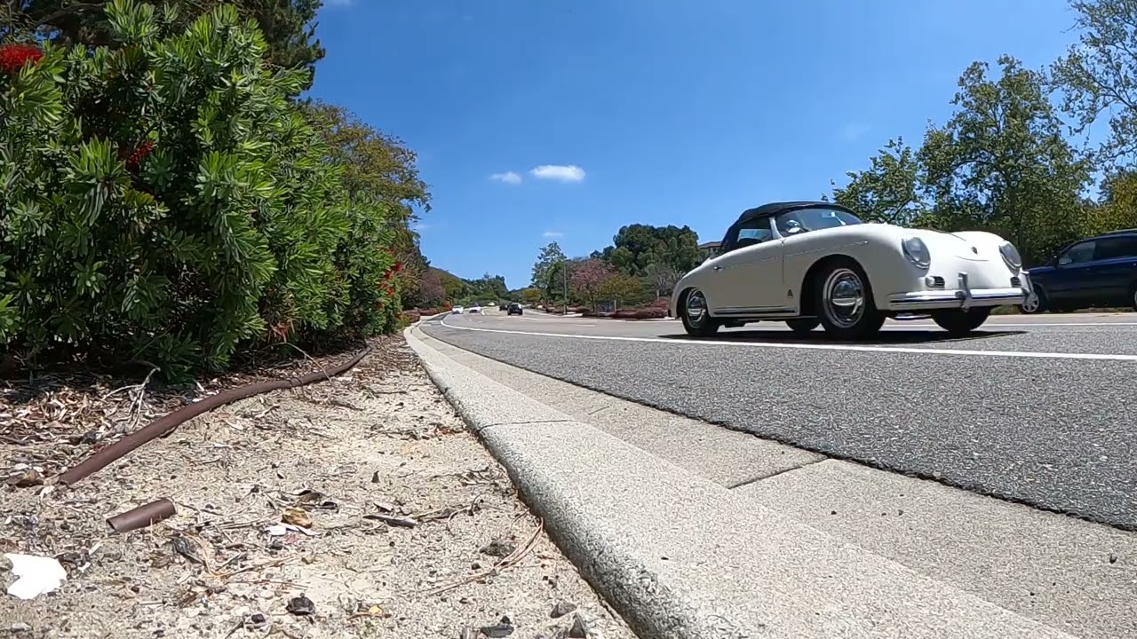 Lacosta in the 356