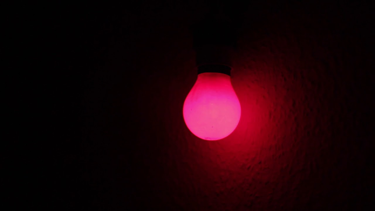 Ana Correia   The Beautiful Work of a Dark Room