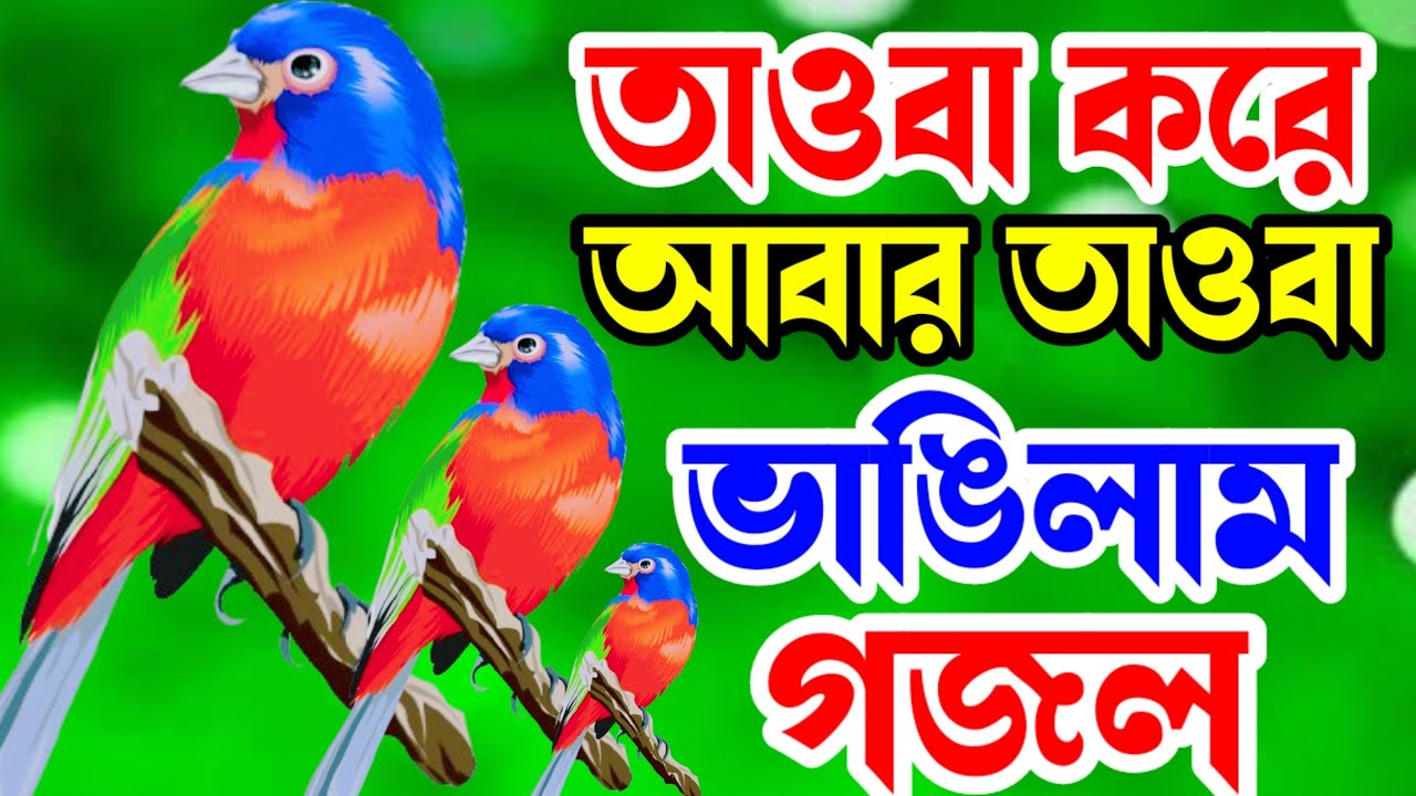 তাওবা করে আবার তাওবা ভাঙিলাম।। হৃদয় স্পর্শি গজল।। খুবই দুঃখের গজল।।