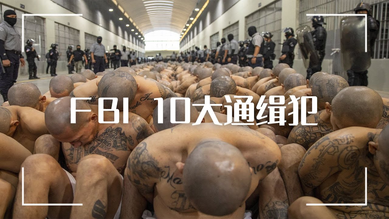 FBI 10大通缉犯，冬奥选手变大毒枭，牛津法学博士搞诈骗，各种狠人的人生故事和犯罪学分析 | Eric长安万年