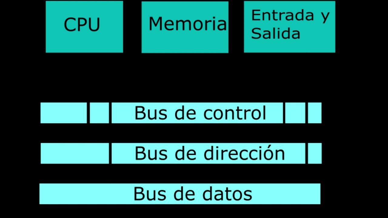 partes internas de un procesador