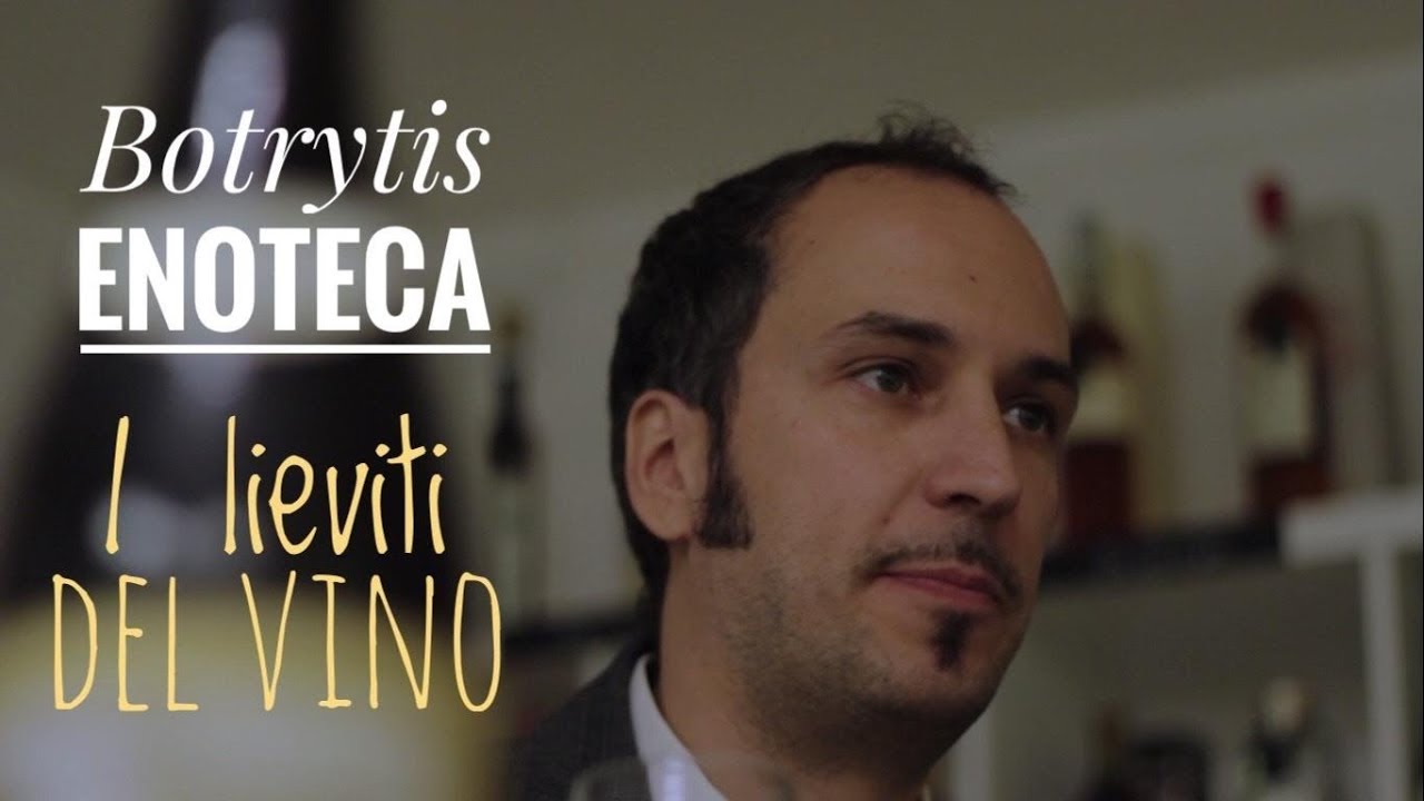 I lieviti del vino