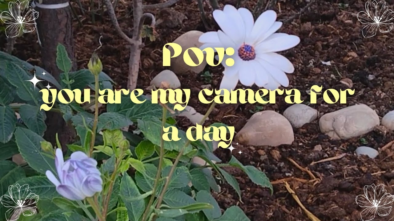 You are my camera for a day