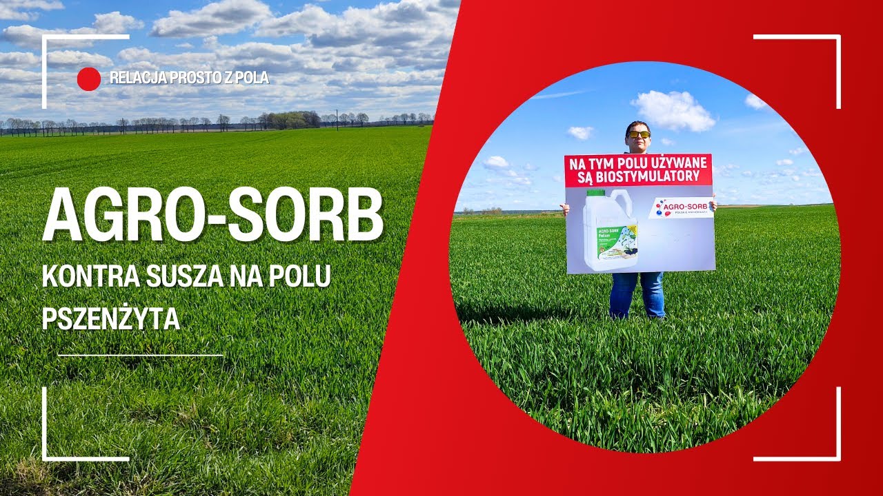 👉 Mini dawka &ndash; MAXI efekt! Testujemy Agro-Sorb Folium na pszenżycie i grochu zimowym
