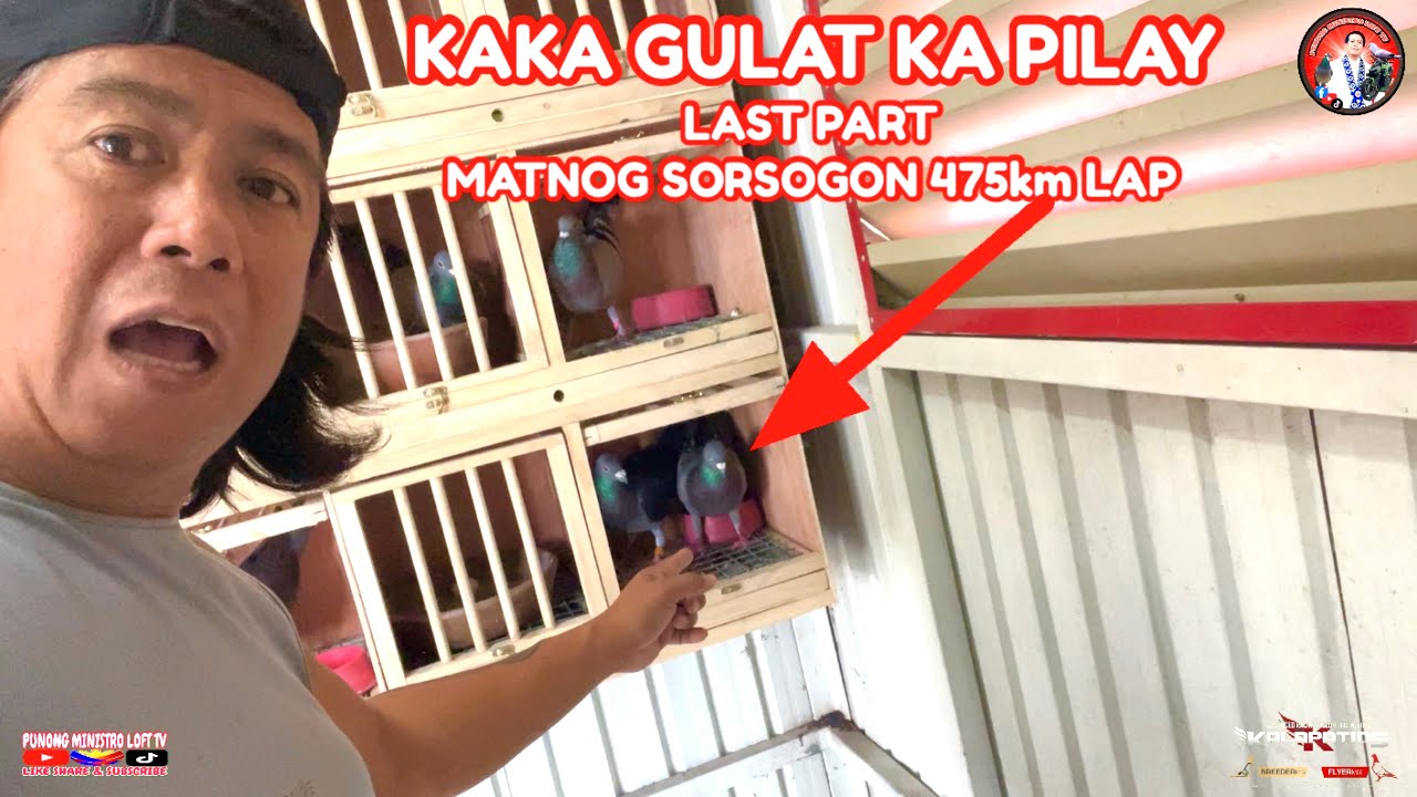 EP1249 KAKA GULAT SI 3M AT PILAY NAKA UWI FROM MATNOG SORSOGON 475km LAP!