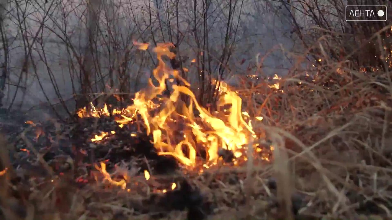 В Артёме огнеборцы регулярно отправляются на вызовы