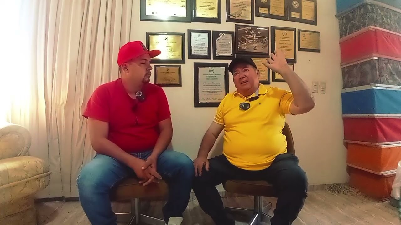 Leyendas colombofilas chitón nungaray 
