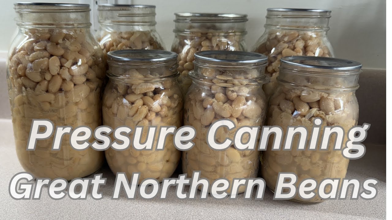 How to Pressure Can Beans | Putting up Food for the Winter Months