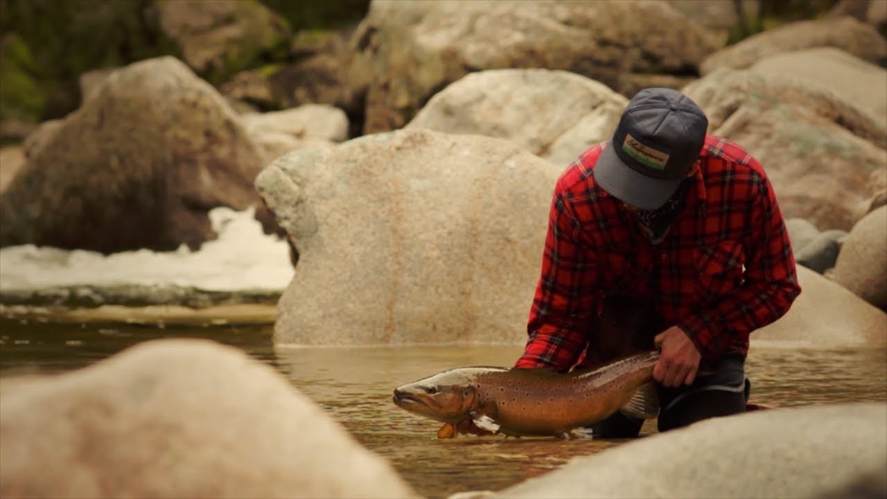 Only the River Knows | 