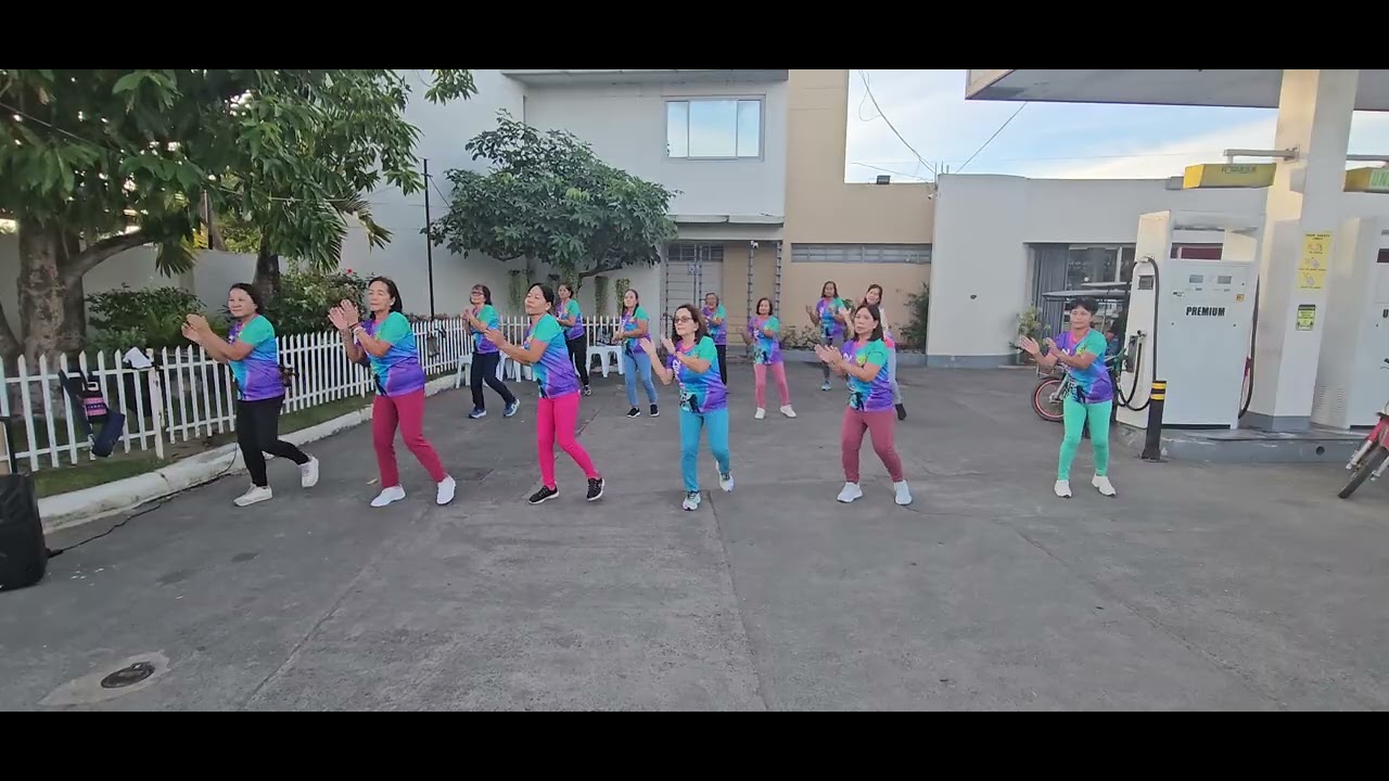 Malasin zumba ladies