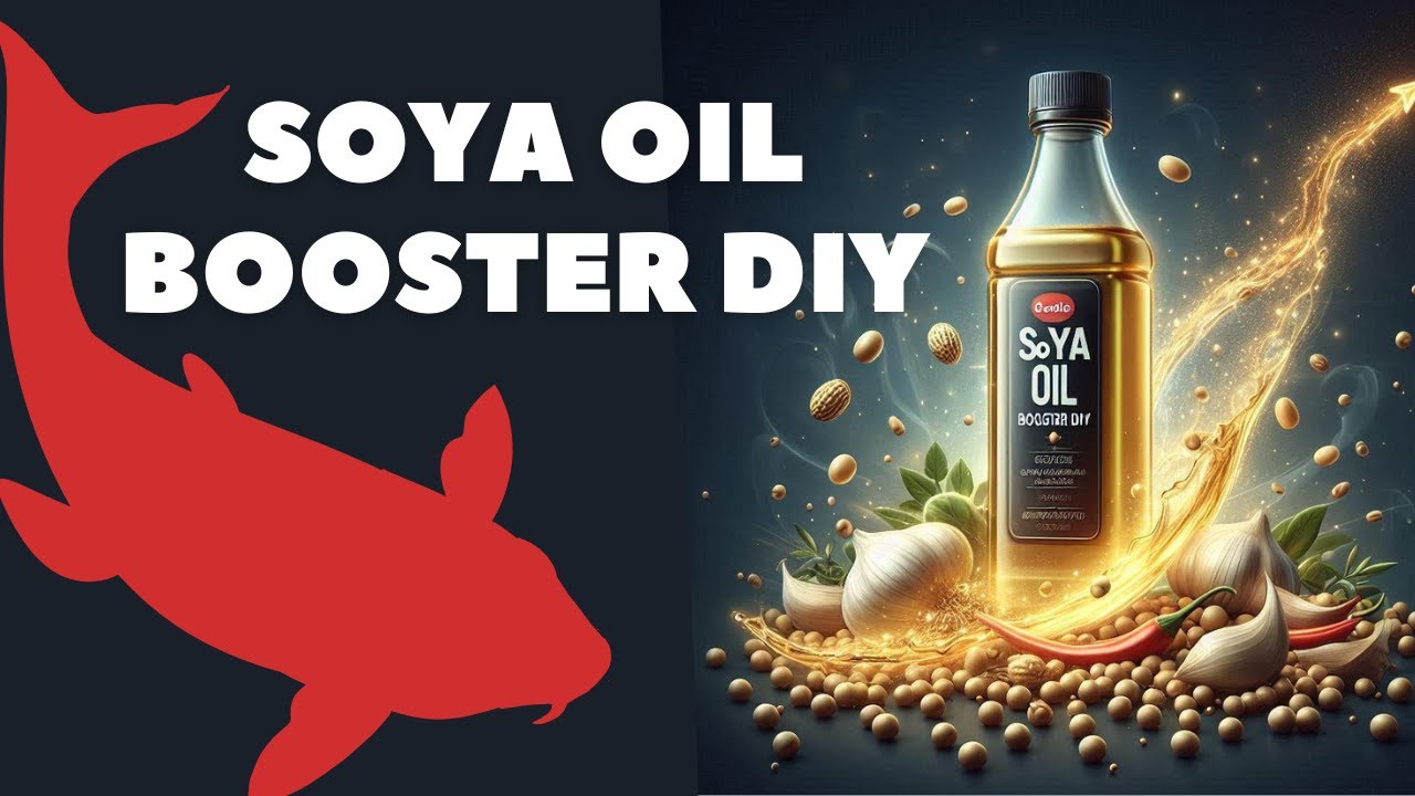 Jak zrobić dopaloną zalewę Soya Oil – booster DIY nie tylko na karpia!