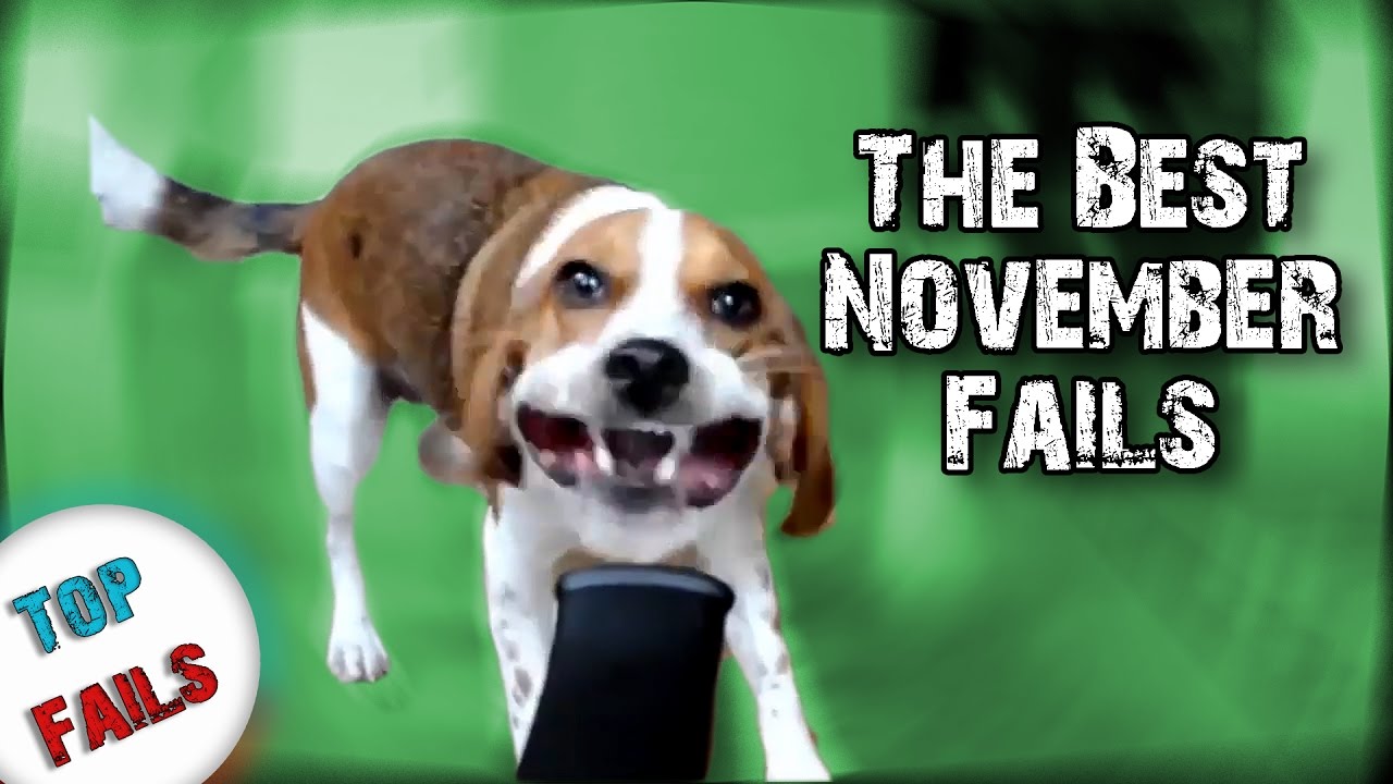 Best Fails of the November 2016 Part 12 ||Top Fails||