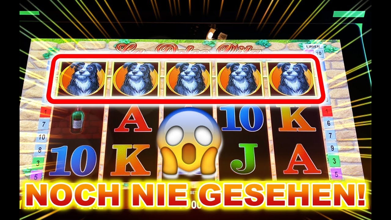 🛑 5 HUNDE IN LA DOLCE VITA!? - FREISPIELMASSAKER BISSER KOTZT #91 🛑