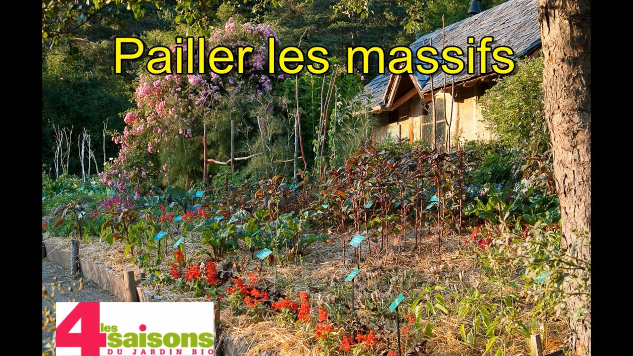 Pailler les massifs de vivaces - Les 4 Saisons du jardin bio