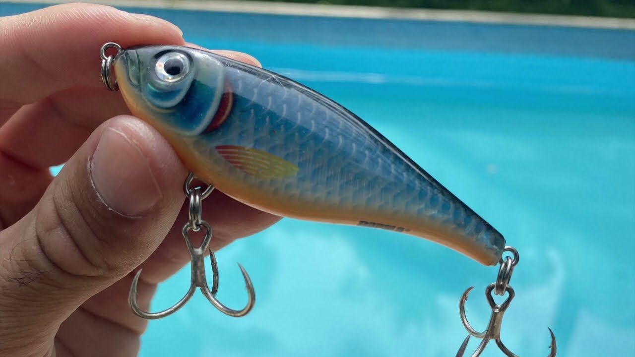 A isca ideal pro peixe manhoso, Rapala Twitchin Shad XRTS 8 - BPE Iscas