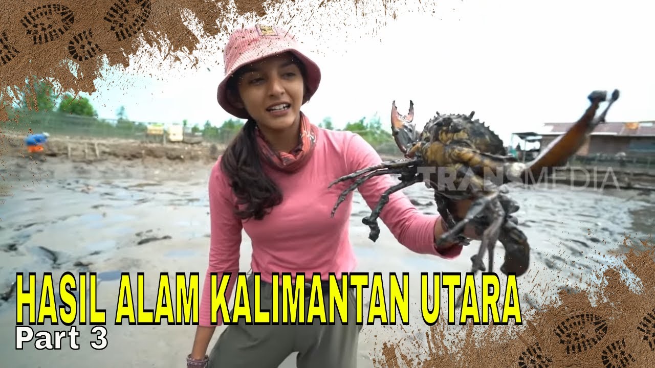 HASIL ALAM KALIMANTAN UTARA | JEJAK PETUALANG (30/01/24) Part 3
