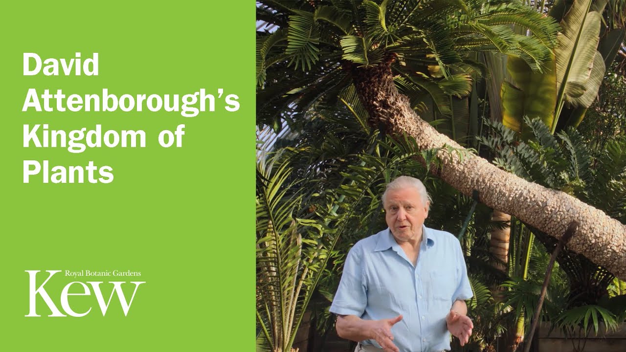 David Attenborough's Kingdom of Plants: Introduction