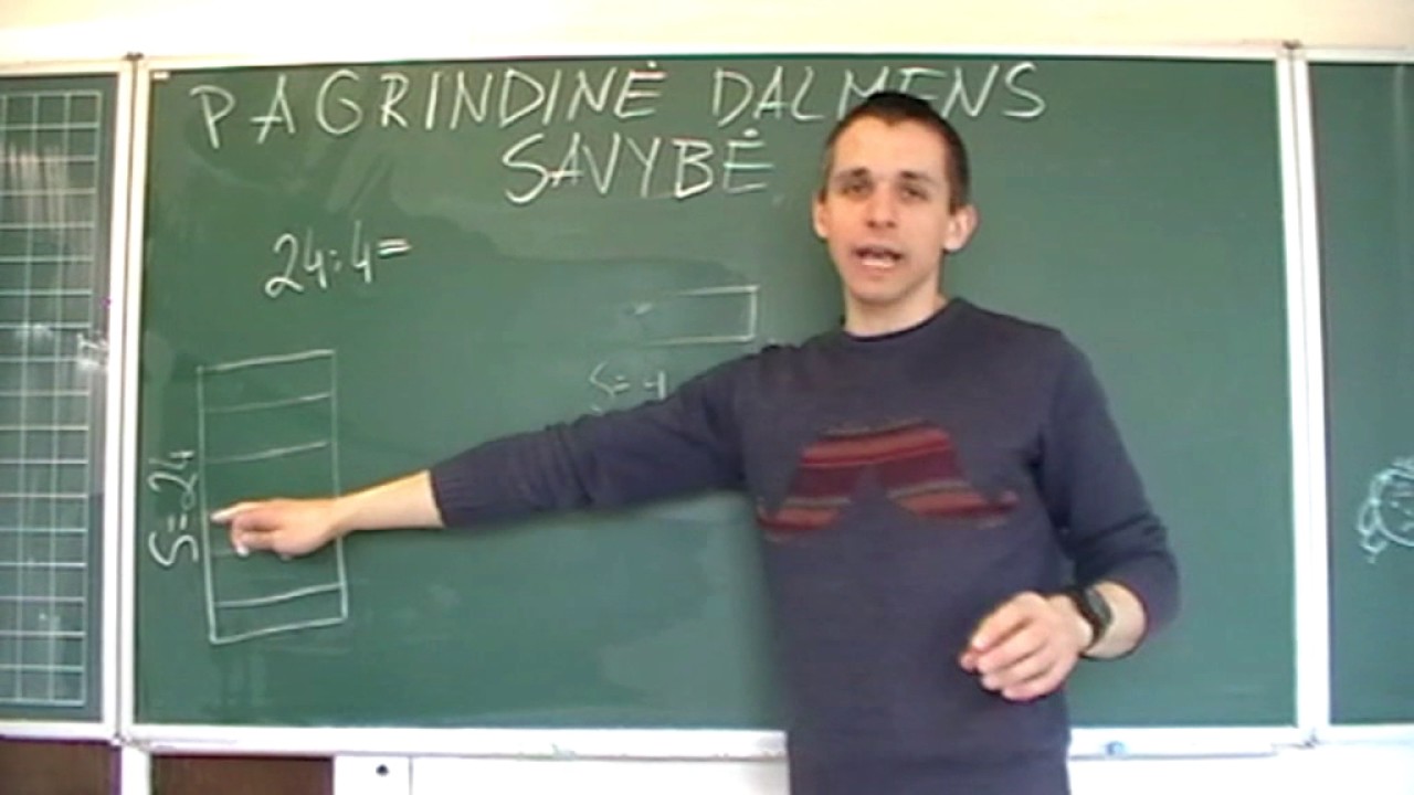Pagrindinė dalmens savybė