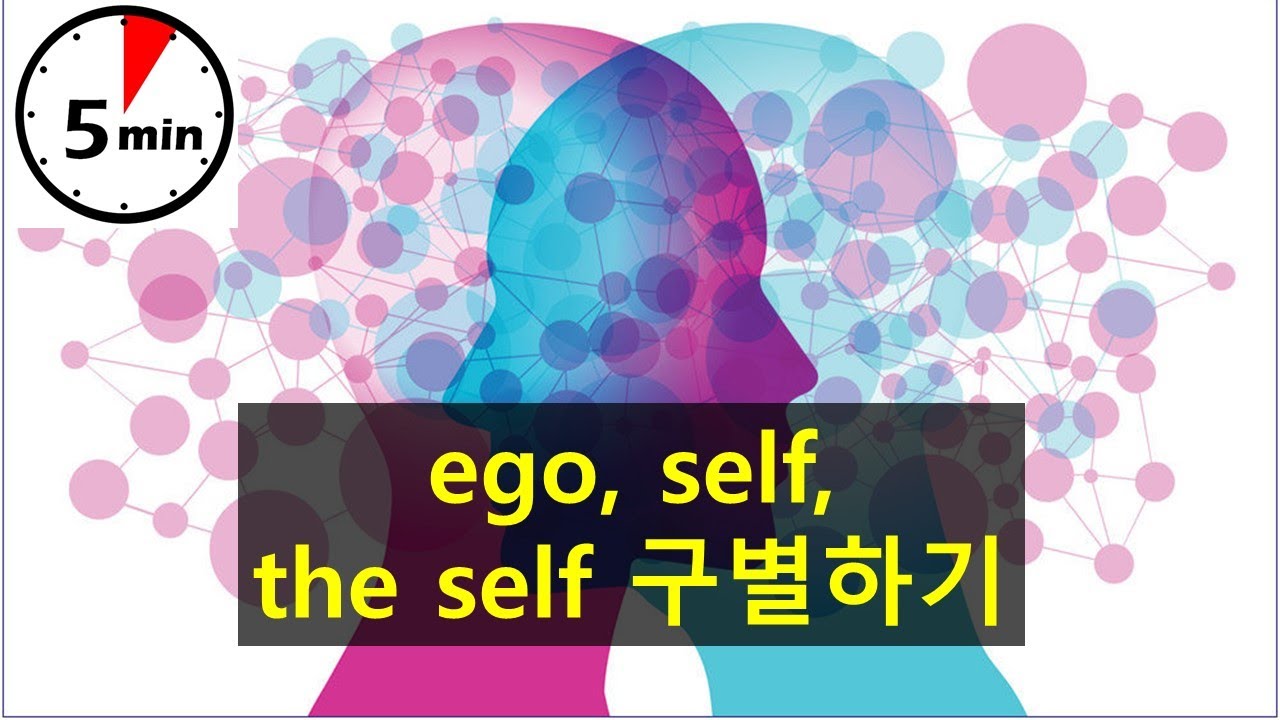 [심리학개론] ego, self, the self 구별하기