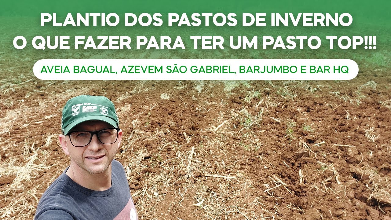 O que fazer p/ter um pasto de inverno TOP! Aveia Bagual,Azevem São Gabriel,Barjumbo e BarHQ  (v.183)