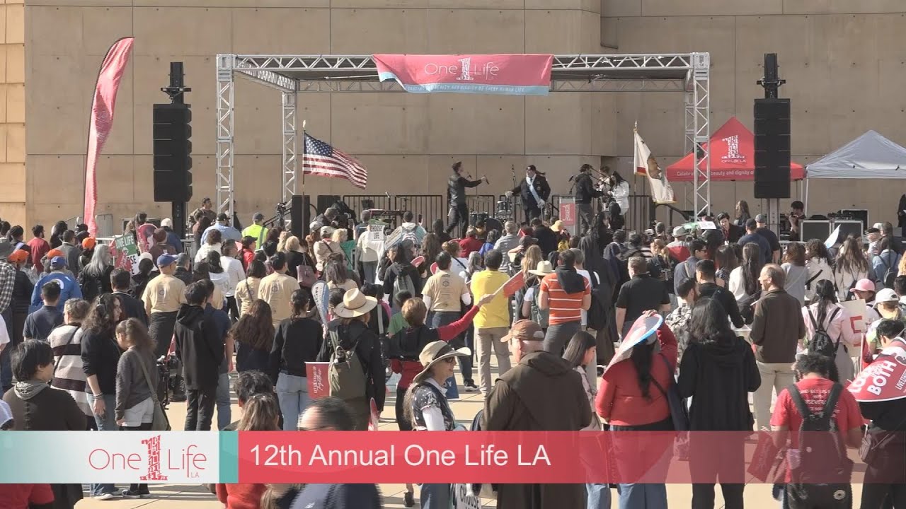 One Life La