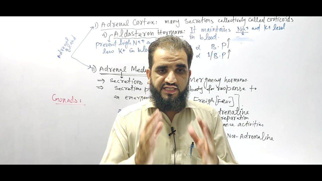 important message about PMC and kmu admission procedure