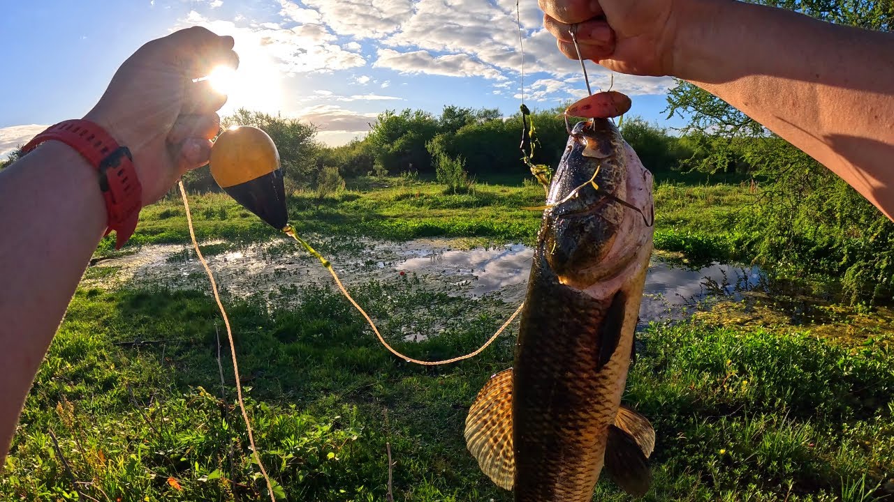 🔥🔥 PESCA de TARARIRAS en Arroyo Poco Explorado, Pesca con Boya y Señuelos Caseros, Taruchas Gigantes