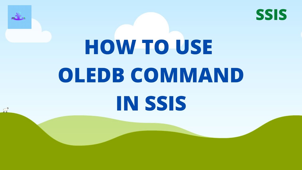 How to use OLEDB command transformation in SSIS