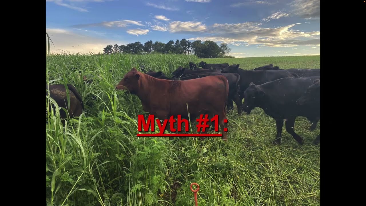 Grazing Myths that Impact Profitability-Greg Halich