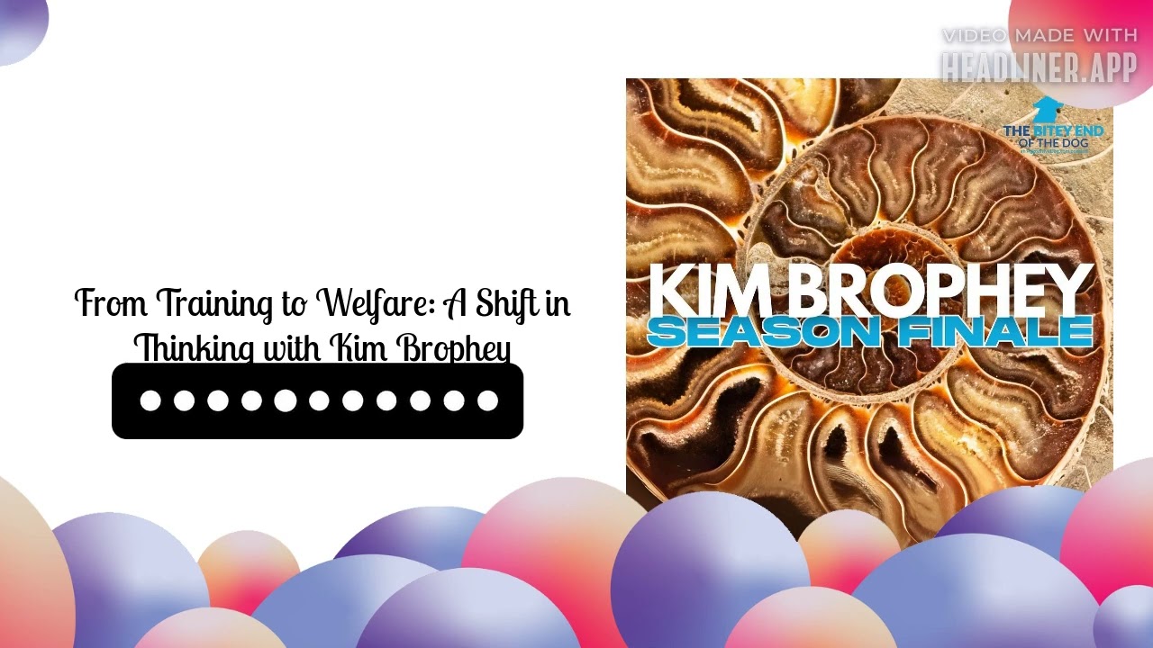 From Training to Welfare: A Shift in Thinking with Kim Brophey | The Bitey End of the Dog