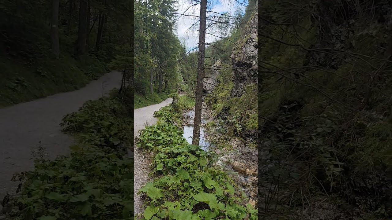 Dolina Białego #tatry #wycieczka #trip #zakopane #mountains #widoki #dladzieci #naszlaku
