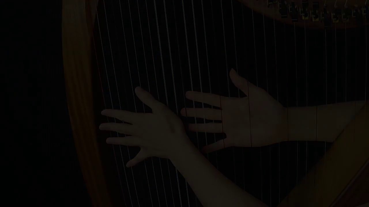 Paddy O'Rafferty - celtic harp