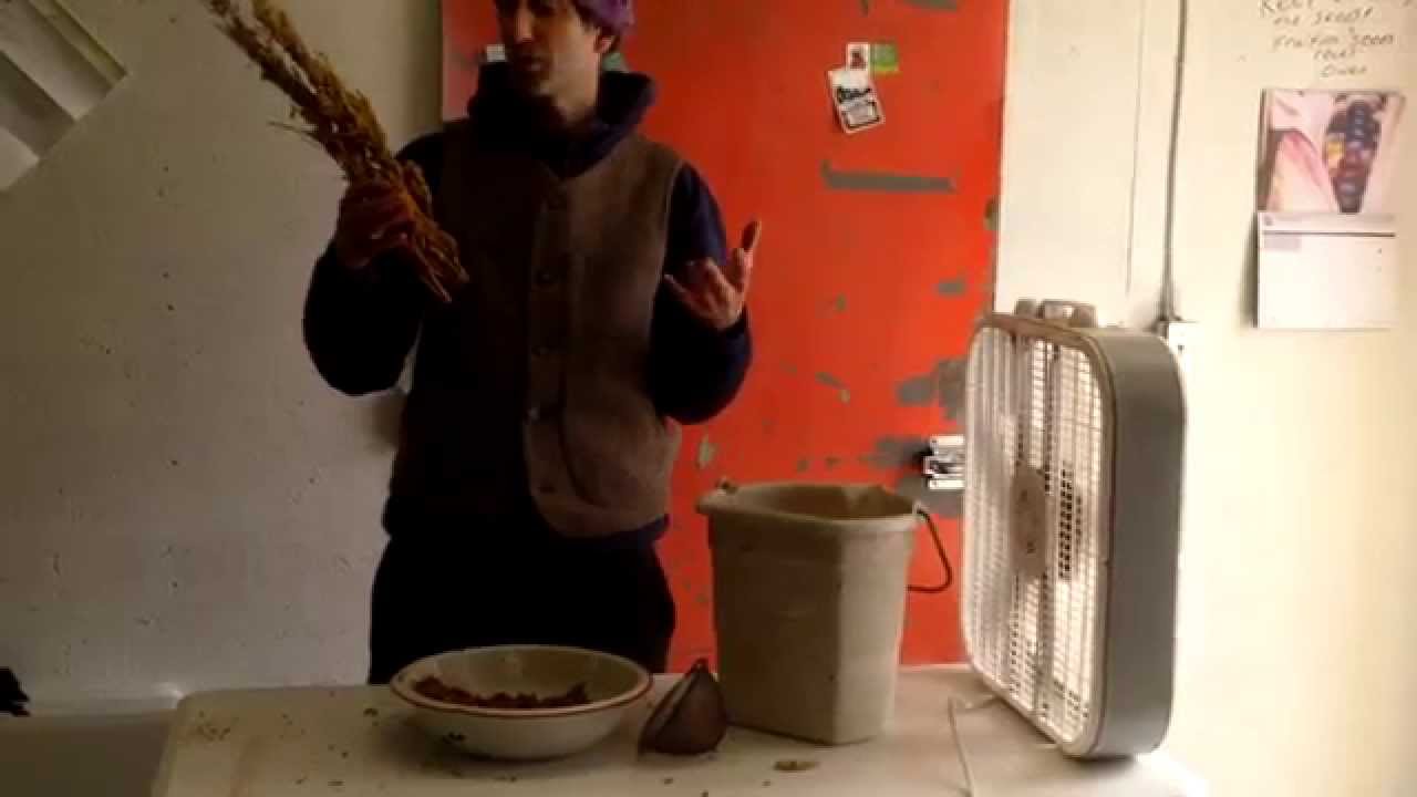 cleaning amaranth seed with Fruition Seeds