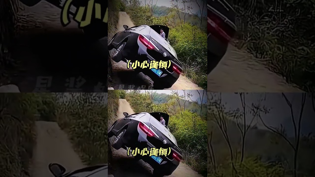 Driver's License Lessons I Missed: UnexpectedSurprises