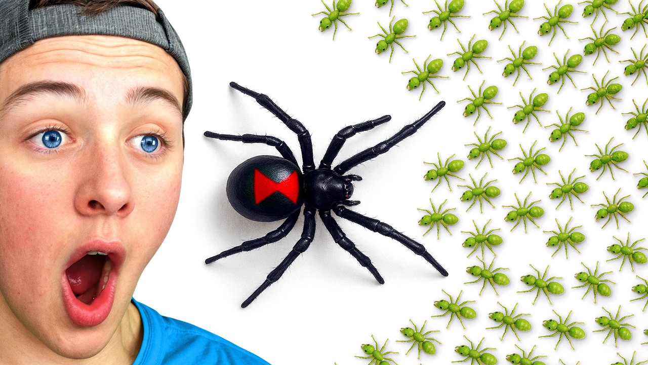 1,000 ANTS vs 1 BLACK WIDOW, Who Would Win?
