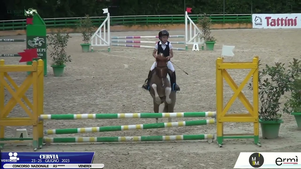 MATTY & CRIS - Prima giornata di CONCORSO Le Siepi CERVIA -  B80 percorso netto👦🏻🐴💪🏻