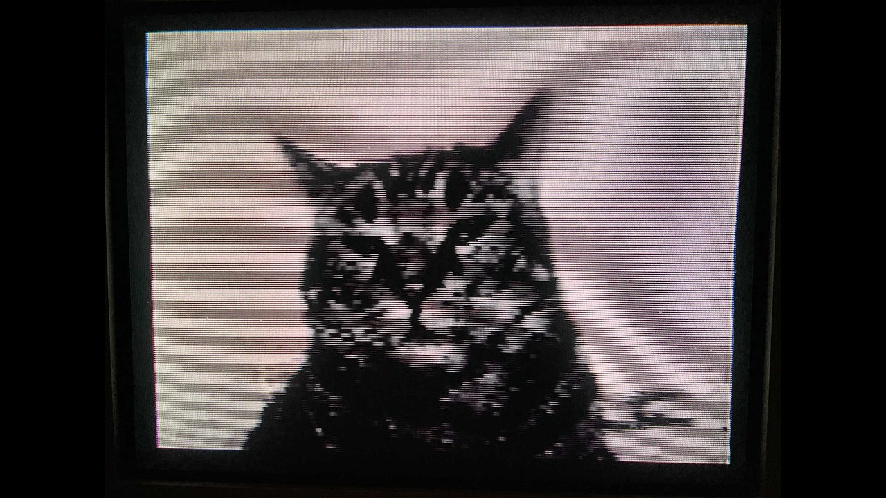 ∿ Picture-phone demodulation of Babka the cat =^^=